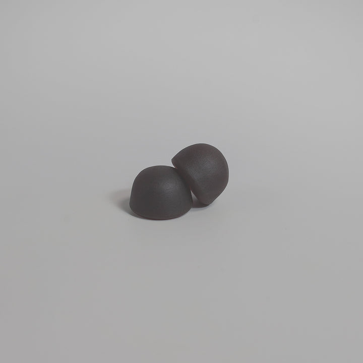 Mushroom Extract Complex 10x